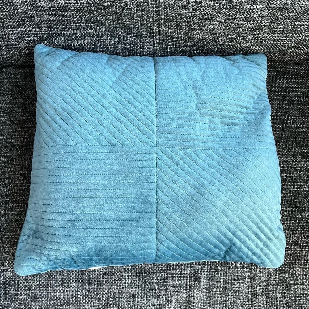 Pier 1 Imports Velvet Throw Pillows- set of 2